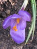 2015-04-12 18-02-36.JPG