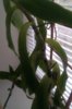 IMAG0095.jpg