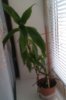IMAG0096.jpg