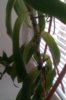 IMAG0101.jpg