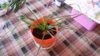 20150421_084702.jpg