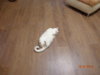 DSC02553.JPG