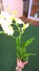 WP_20150424_16_09_56_Pro.jpg
