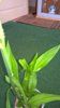 WP_20150424_16_10_03_Pro.jpg