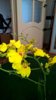 WP_20150424_16_10_27_Pro.jpg
