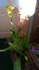 WP_20150424_19_06_56_Pro.jpg