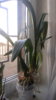 20150419_075926.jpg