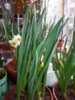 20150427_124802.jpg