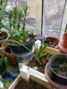 20150427_124849.jpg