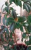 20150428_170244.jpg