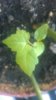 WP_20150429_002.jpg