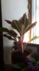 20150429_153536.jpg