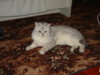 DSC01191.JPG