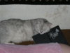 PICT0017.JPG