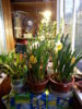 20150429_195108.jpg