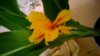 WP_20150501_21_45_32_Pro.jpg