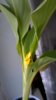 WP_20150428_001.jpg