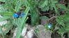 IMG_20150502_111300_349.jpg