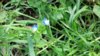 IMG_20150502_111330_642.jpg