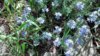 IMG_20150504_111425_028.jpg