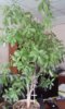 20150506_100704.jpg