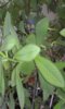 20150506_100715.jpg