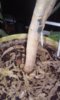 20150506_100725.jpg