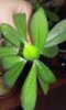 20150506_100800.jpg