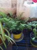 20150506_180724.jpg