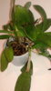 20150507_144811.jpg