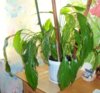 DSC09283.JPG