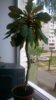 WP_20150513_12_50_06_Pro.jpg