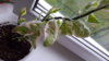 20150516_113116.jpg