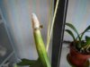 DSCN4045.JPG