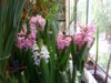20150522_103741.jpg