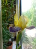 20150522_103756.jpg
