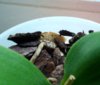 DSC09357.JPG