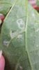 20150525_140331.jpg