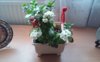 20150525_162004.jpg