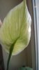WP_20150524_15_44_38_Pro.jpg