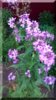 DSC_2899.jpg