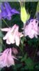DSC_2896.jpg