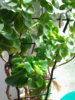 20150530_110750.jpg