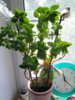 20150530_110654.jpg