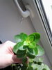 20150530_110720.jpg