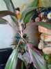 20150530_110611.jpg