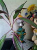 20150530_110524.jpg