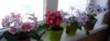 CAM00166-1.jpg