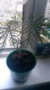 IMAG0523.jpg