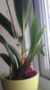 20150610_083126.jpg